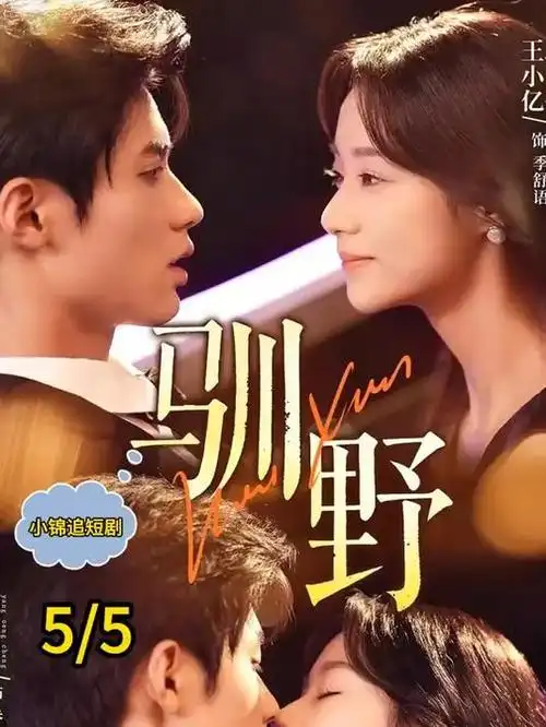 琅琊榜 电视剧海报